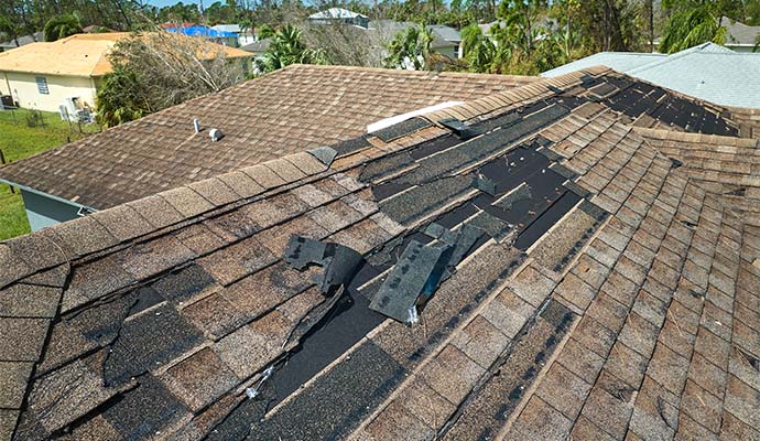 Damaged shingles on roof