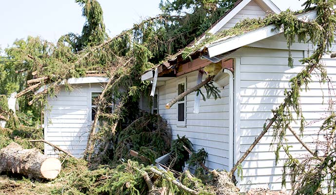 Tropical storm damaged property