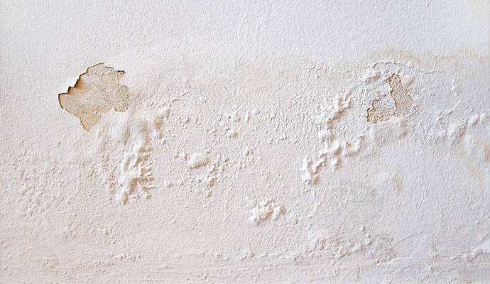 Structural water damaged wall paint bubbling and peeling