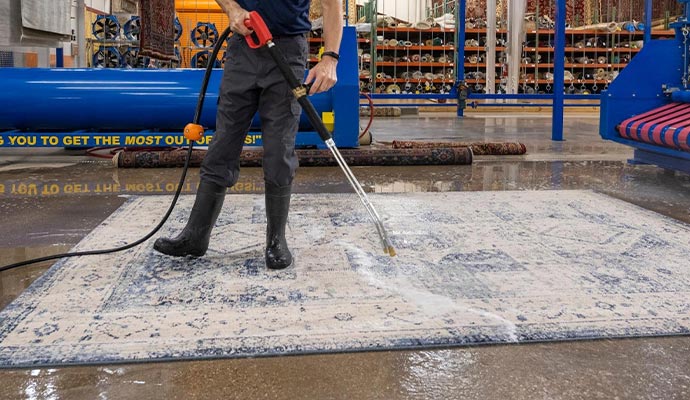 Technician cleaning area rug with extraction wand