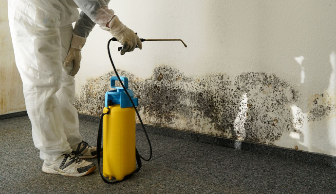 Technician in protective gear spraying black mold on a wall