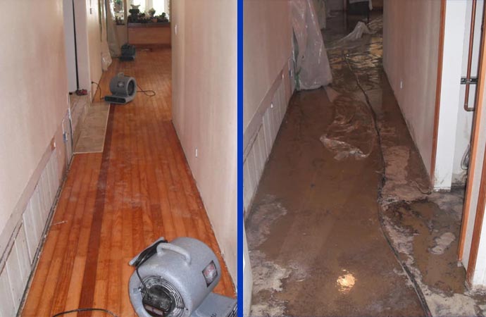 Water Damage Inspection