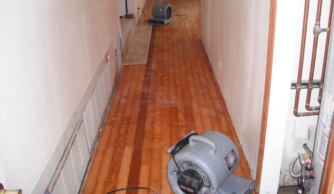 Water Damage Restoration Worongary