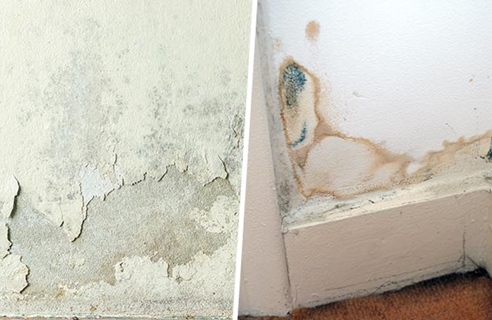 Collage of wall dampness and mold growth in corner Collage of wall dampness and mold growth in a corner