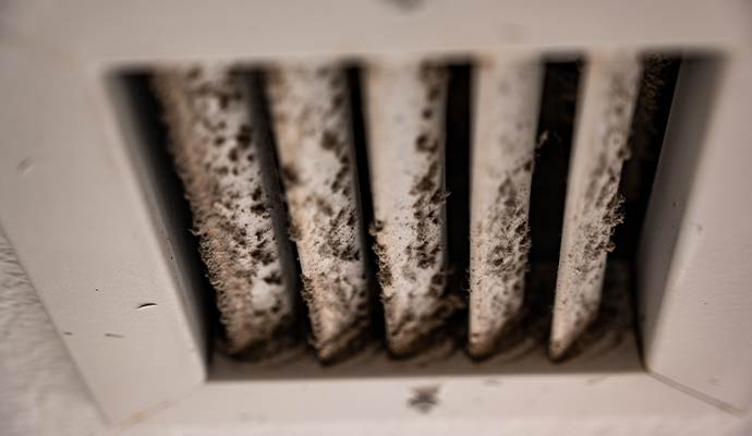 HVAC mold