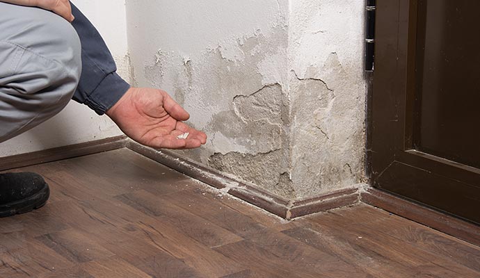 Professional inspecting peeling paint on a wall caused by structural damage