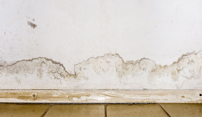 Water damaged wall with rising damp