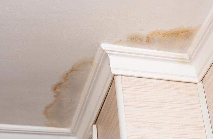 Floor Water Damage Stain Removal in Farmington & Cortez