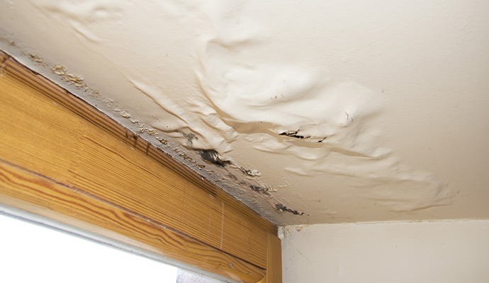 Water-damaged ceiling with bubbling paint near a window