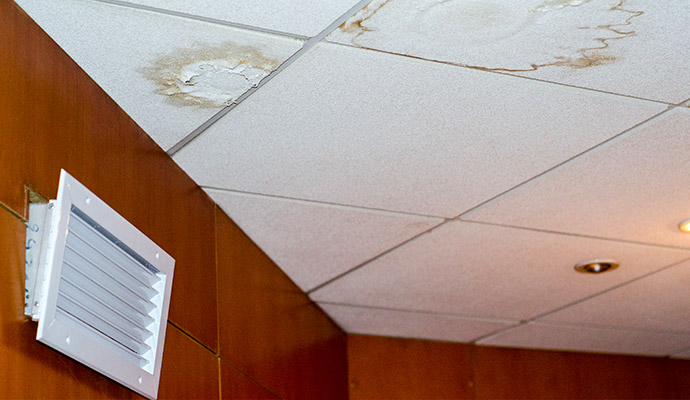 Water-stained ceiling tiles with visible moisture damage and mold