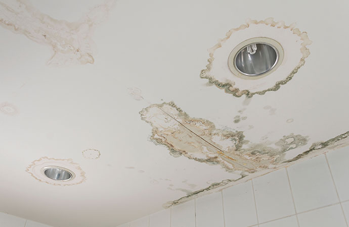 wet ceiling plasterboard ceiling mold damage